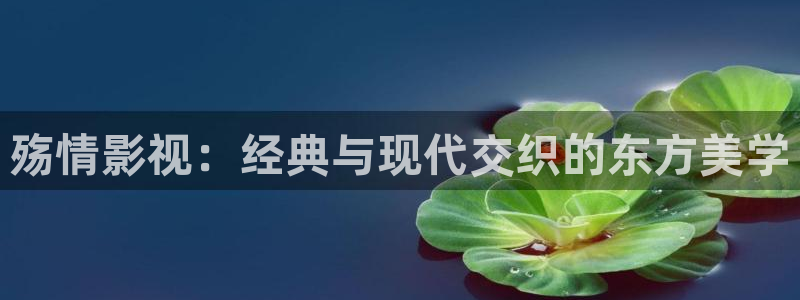 久久琪琪影院：殇情影视：经典与现代交织的东方美学