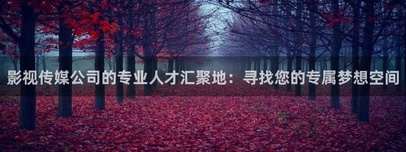 琪琪在线影院观看：影视传媒公司的专业人才汇聚地：寻找您的专属梦想空间