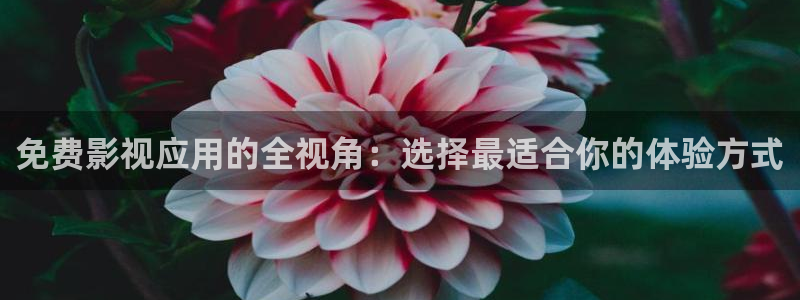 琪琪影院琪琪影院：免费影视应用的全视角：选择最适合你的体验方式