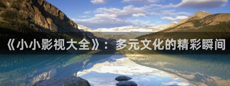 电影院琪琪：《小小影视大全》：多元文化的精彩瞬间