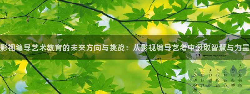 琪琪青苹果神马影院：影视编导艺术教育的未来方向与挑战：从影视编导艺考中汲取智慧与力量