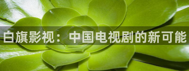琪琪秋霞午夜被窝影视：白旗影视：中国电视剧的新可能