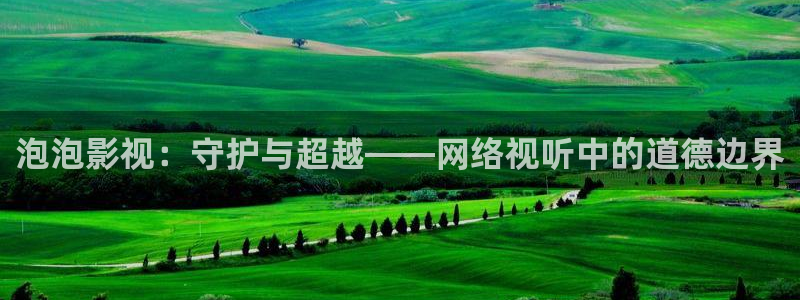 琪琪午夜影院：泡泡影视：守护与超越——网络视听中的道德边界