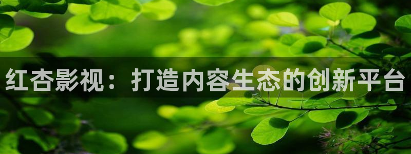 琪琪影院在线播放：红杏影视：打造内容生态的创新平台