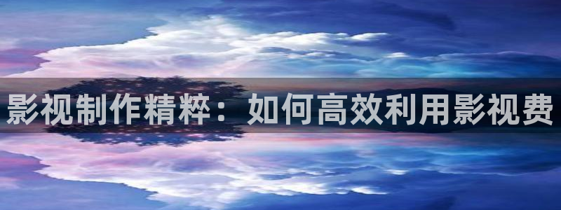 琪琪影院原网址：影视制作精粹：如何高效利用影视费